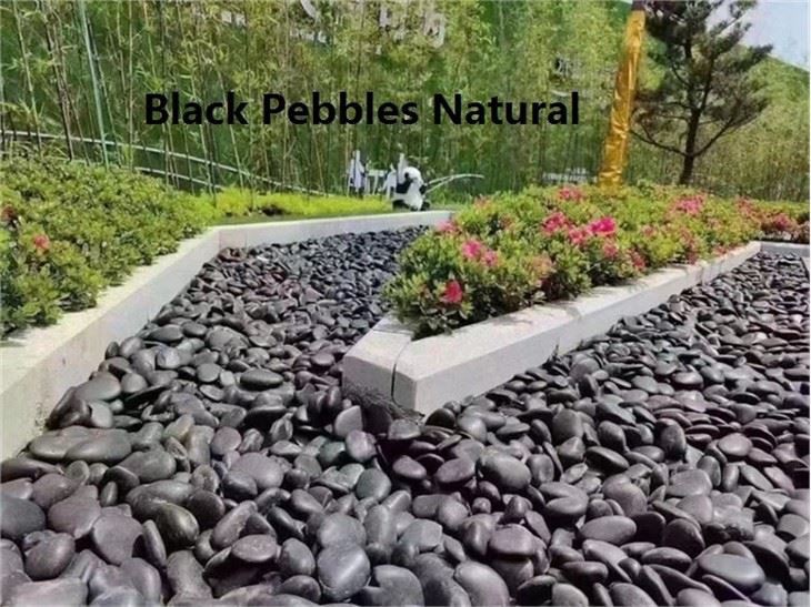 2. black pebbles